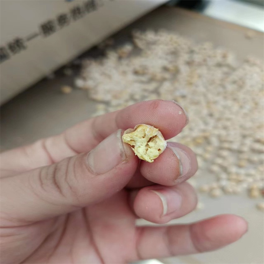 杂粮微波烘烤机