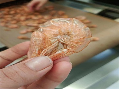 隧道式海鲜微波烘干杀菌机 对虾烘烤熟化设备