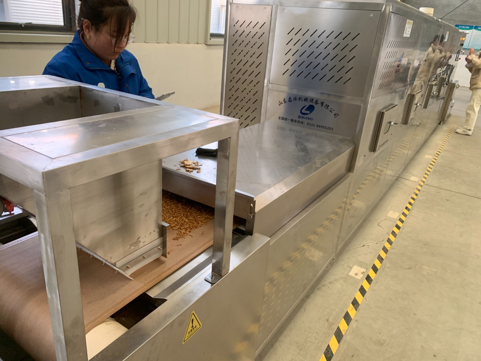 黄粉虫微波烘干技术已经相对成熟和完善