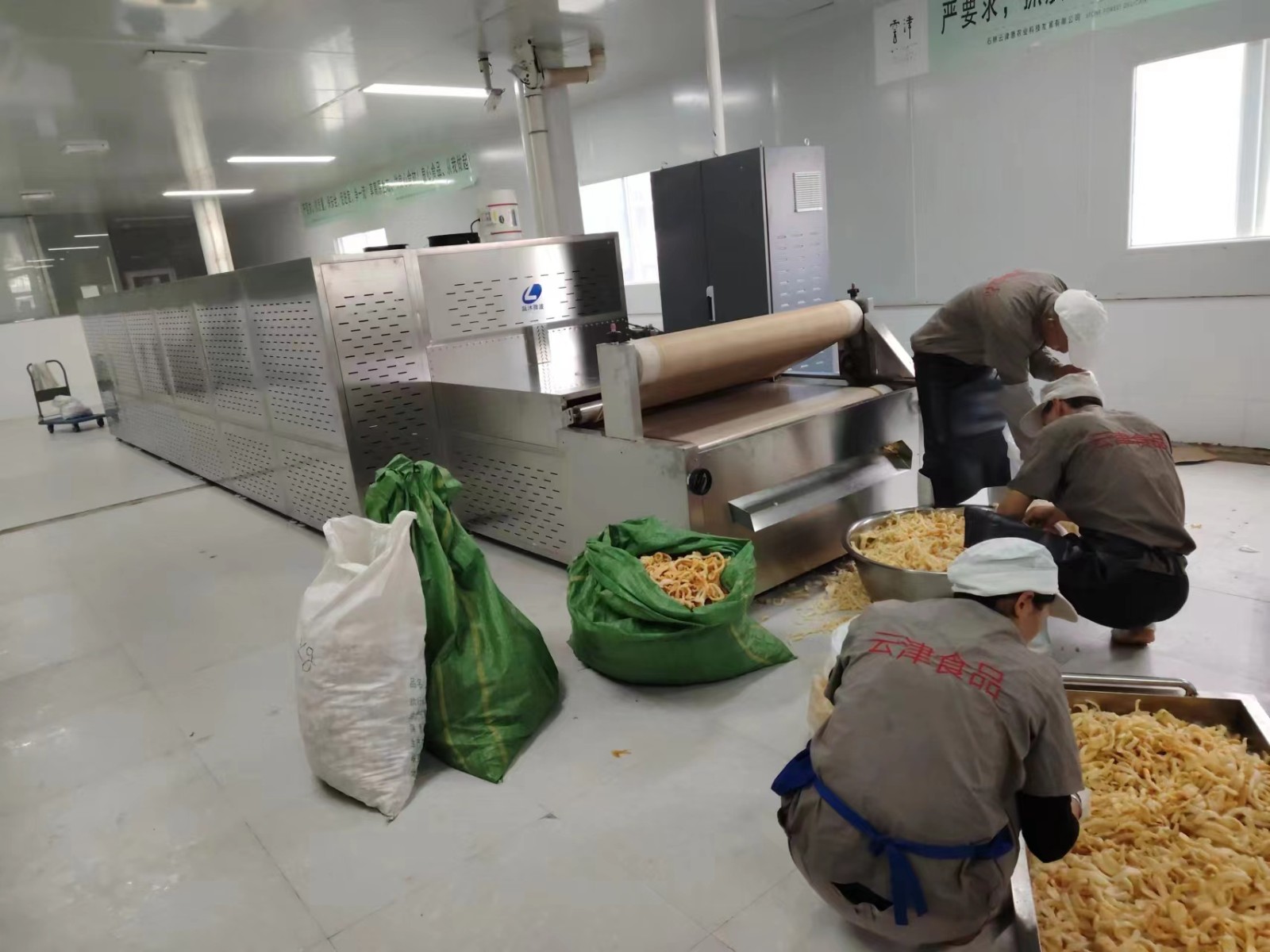 我公司生产的非油炸猪皮膨化机克服了油炸方式含油问题