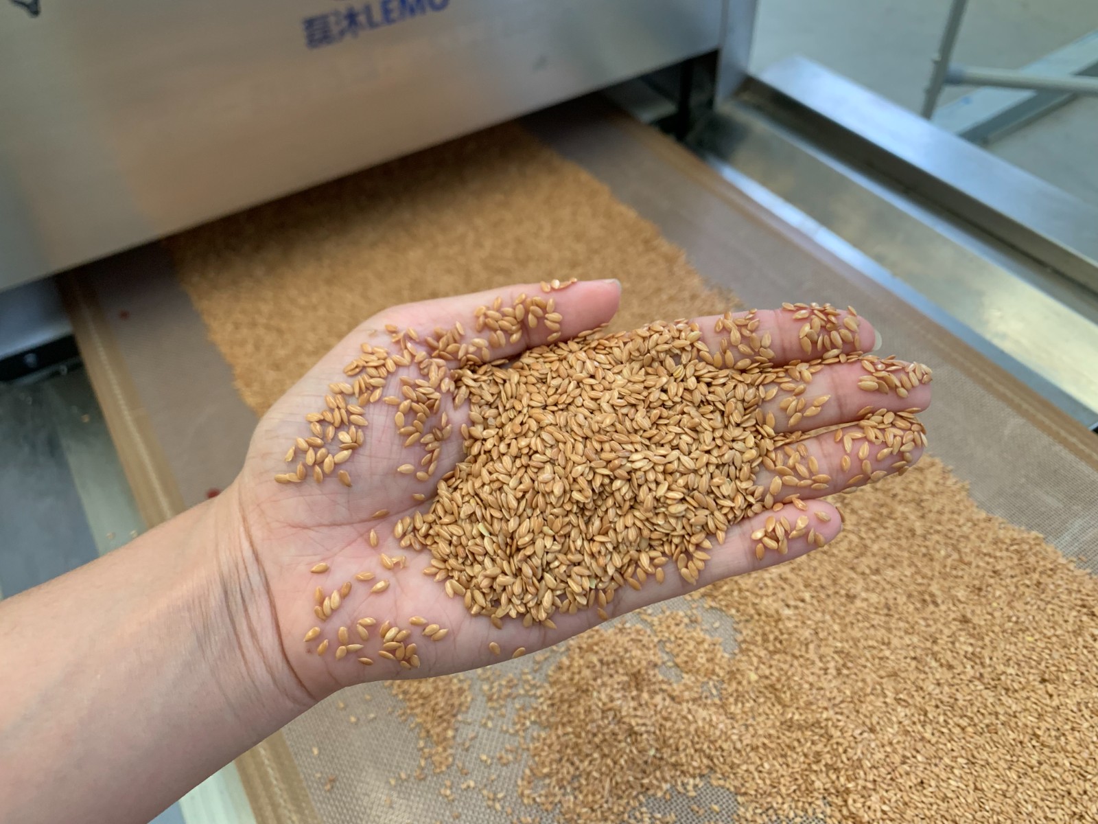 可以代替油炸锅的亚麻籽微波烘烤设备脱颖而出