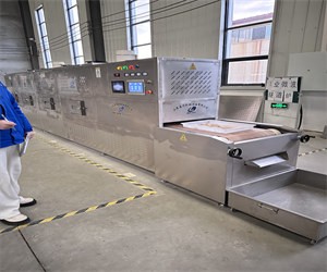 肉制品微波熟化脱脂设备助力食品加工行业