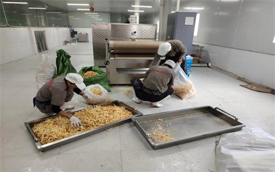 猪皮微波膨化设备 猪蹄脱脂机