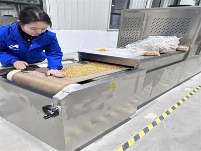 代替油炸锅的非油炸花生米微波烘烤设备