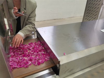 不变色玫瑰花瓣微波烘干隧道炉