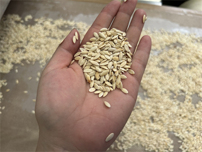 微波设备烘烤黄瓜籽的优势体现在哪些方面