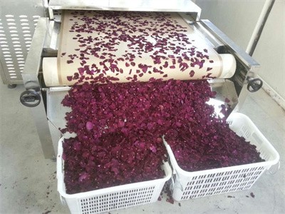 ​你知道微波设备在花茶加工中有哪些应用吗
