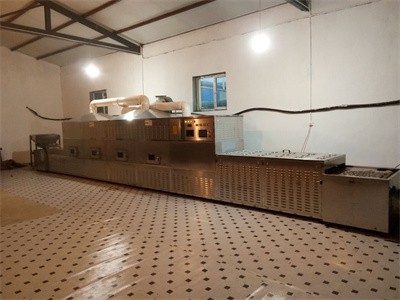 你知道微波设备烤香瓜子与传统炒锅加工有哪些区别吗