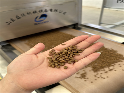 隧道式微波烘干设备引领着宠物食品生产的新潮流