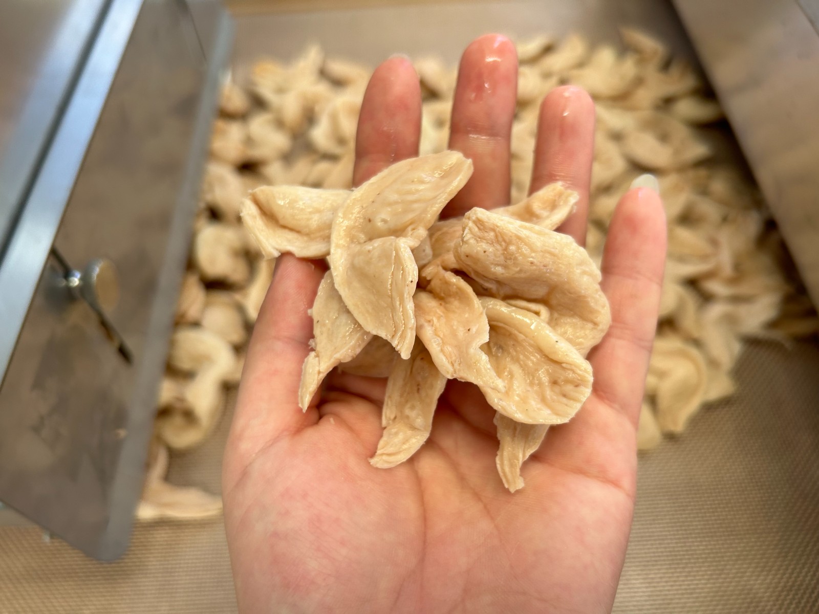 你知道微波隧道炉对豆制品进行连续烘干的作用原理吗