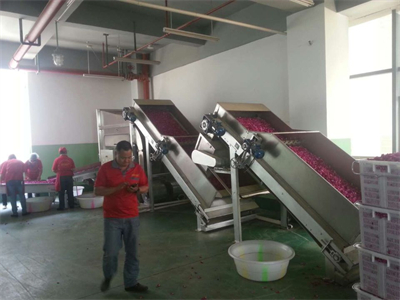 ​微波烘干隧道炉为花卉产业的繁荣和发展注入新的活力