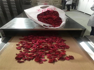 微波烘干隧道炉改变着传统鲜花的保存与加工方式