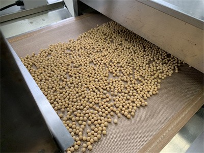 你知道利用微波对黄豆进行干燥杀虫卵的原理吗