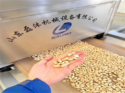 微波烘烤隧道炉实现了无油健康烘烤方式和香脆口感