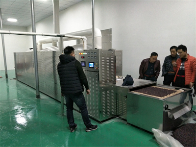微波烘烤熟化设备在五谷杂粮加工领域的应用前景如何？