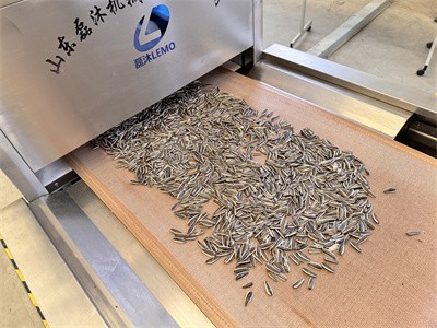 对于瓜子熟化，炒货机和微波烘烤设备有哪些异同点呢