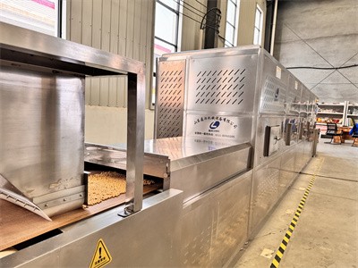 多种多样的低脂无油熟大豆是怎样用微波烘烤的 你知道吗