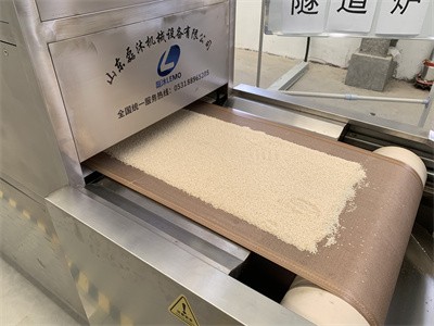 简述关于芝麻烤熟 微波设备和热风烘烤的区别