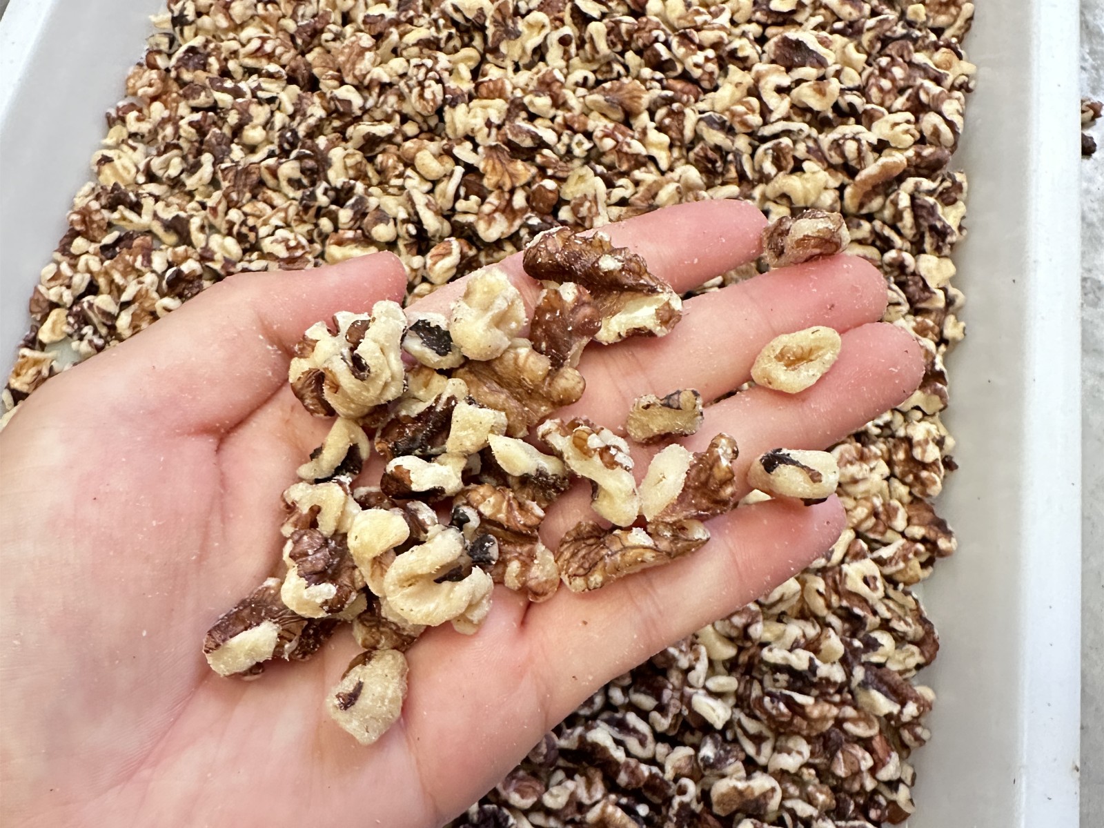 微波隧道炉烘烤后的核桃仁香浓酥脆，简直太好吃了