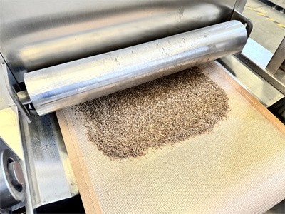 Spices such as cumin powder can be dried in a microwave tunnel oven