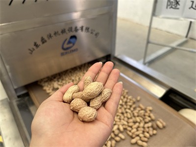 Microwave peanut baking equipment