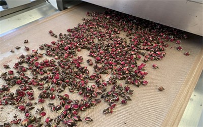 Microwave equipment produces insecticidal effects while drying rose tea