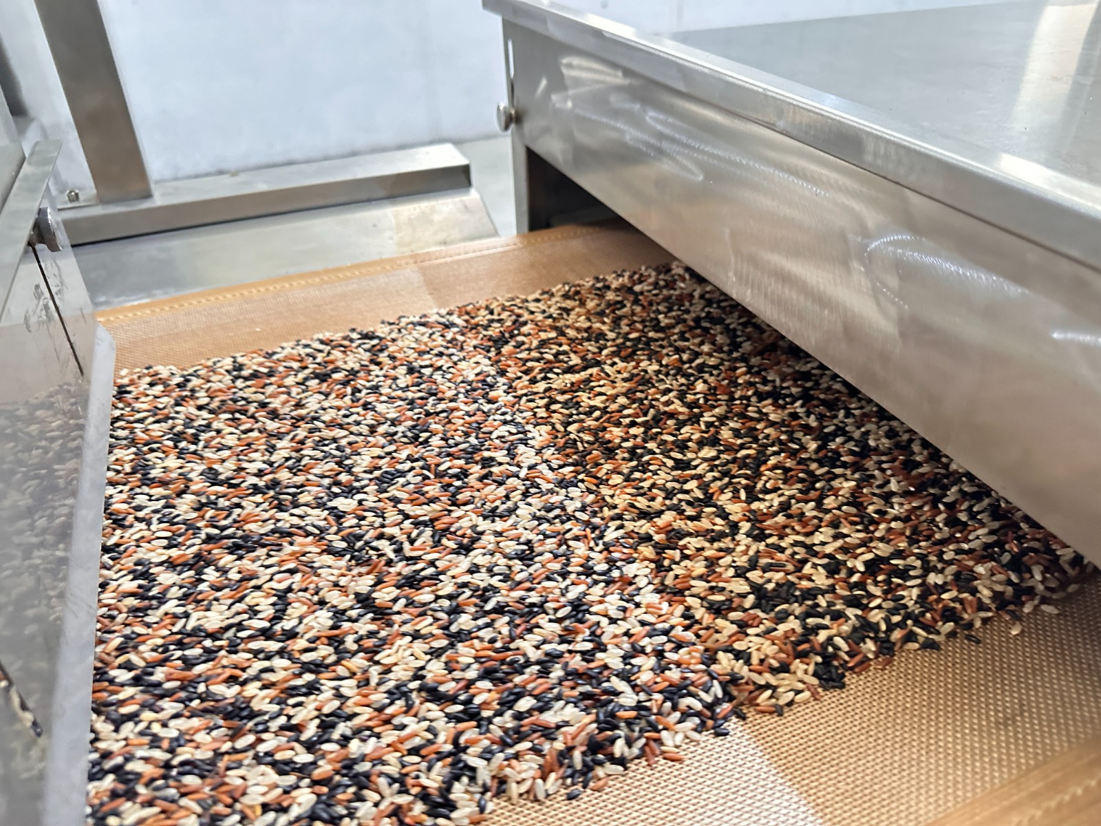 Drying and insecticidal processing of rice using microwave equipment