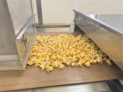 Popcorn and other puffed foods can be dried using microwave equipment 