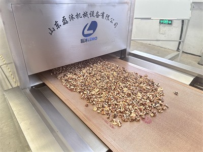 Nut processing companies can use microwave equipment to roast walnut kernels