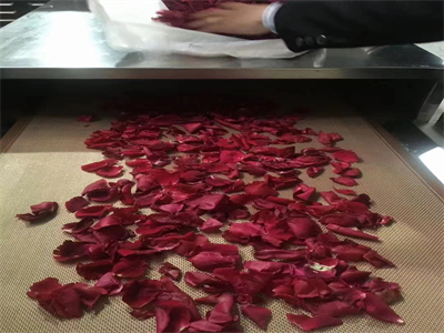 微波烘干设备，让鲜花的美丽不褪色不凋零