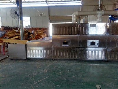 Wood microwave drying insecticidal equipment