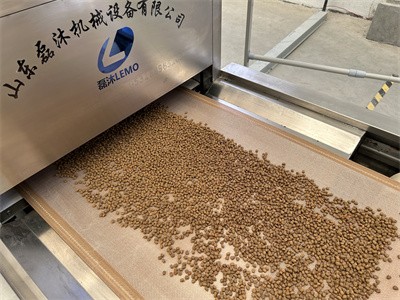 Drying and sterilization of pet puffed food using microwave equipment