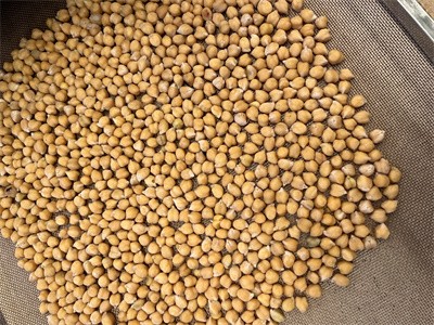 Application of Microwave Baking Equipment in the Chickpea Snack Market