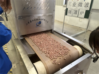 由微波烘烤设备引发的产业变革，改变了花生米的加工方式