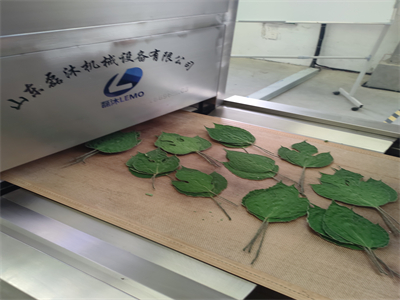 微波烘干隧道炉为构树叶的广泛应用开辟了新途径