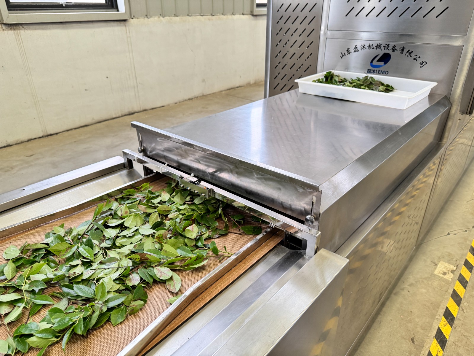 Microwave equipment has good color fixing effect on drying leaves