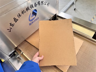 Characteristics of Drying Paperboard with Microwave Equipment