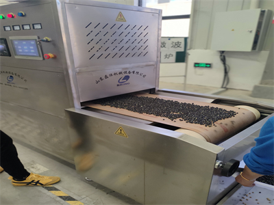 在实际生产应用中，黑豆微波烘烤设备展现出多方面的优势