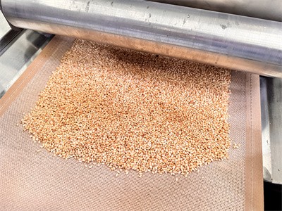 Brown rice microwave baking equipment: ushering in a new era of healthy eating