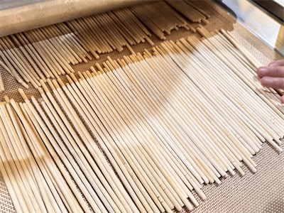 Microwave drying and insect killing equipment for wooden products