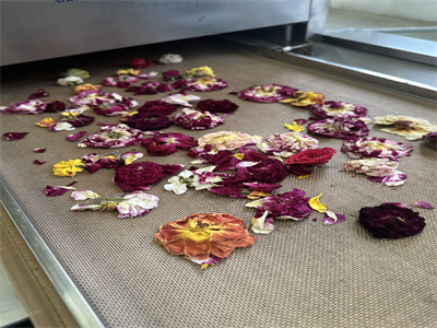 微波烘干隧道炉解决了鲜花保存的传统难题