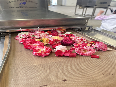 微波烘干设备的出现，为鲜花保存带来了革命性的突破