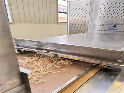 微波膨化隧道炉可以免油加工猪皮