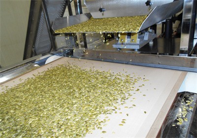 Microwave tunnel oven baking pumpkin seeds
