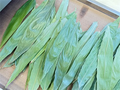 Industrial microwave equipment can be used for drying Zongzi leaves