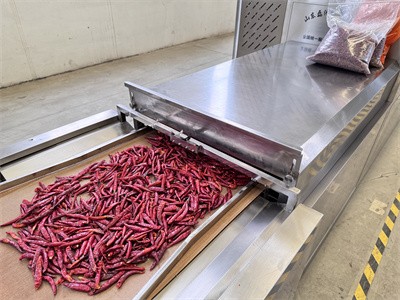 Quickly drying chili peppers using an industrial microwave tunnel oven