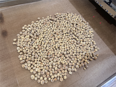 微波烘烤设备保留了油莎豆的营养价值，提升了产品品质