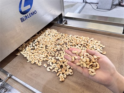 Techniques for baking cashews in industrial microwave tunnel ovens