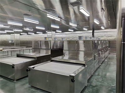 隧道式盒饭微波加热设备的推广正在改变餐饮行业的服务模？