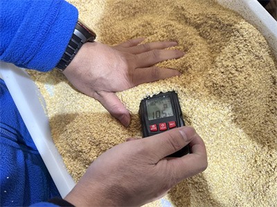 在麦麸的众多加工方式中，微波技术发挥了哪些优势呢？